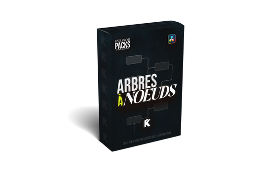 Arbre à noeuds Davinci Resolve